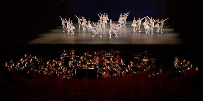 Project foto voor De Avond van de Balletmuziek